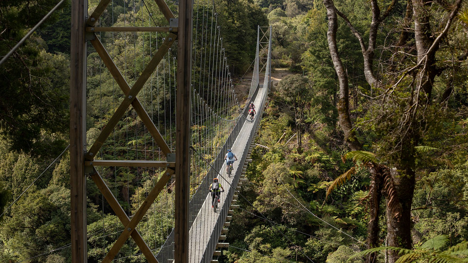 People cycling over swingbridge in Pureora Forest - Visit Ruapehu.jpg